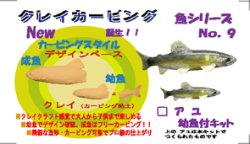 画像1: ◇アユ幼魚付◇ クレイカービング 魚キット Ｎo．９