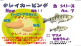 画像: ◇ヤマメ幼魚付◇ クレイカービング 魚キット Ｎｏ．７　